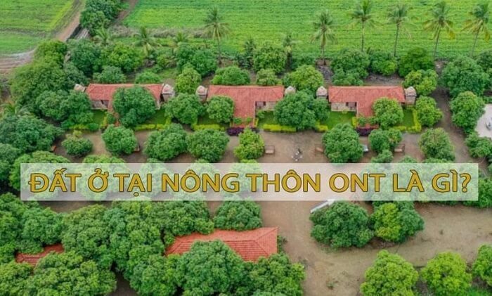 Đất ở tại nông thôn ONT là gì? Tìm hiểu chi tiết về đất ONT