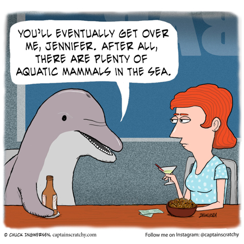 Dolphin breakup