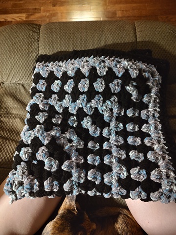 baby blanket: for kitty