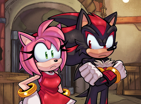 Shadow and Amy Interaction