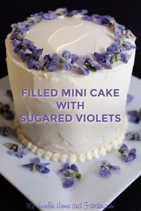 Adorable Filled Mini Cake Decorated With Sugared V