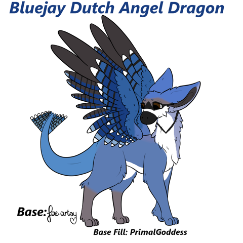 Bluejay Dutch Angel Dragon Adopt