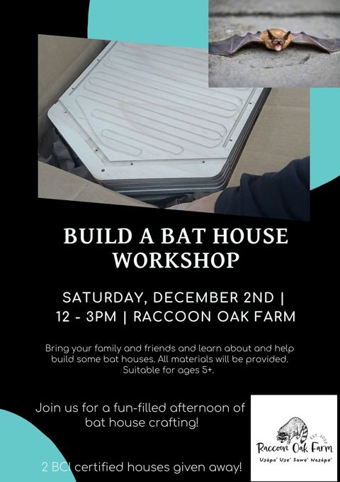 Bat House Build @ Raccoon Oak Farm