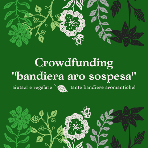 Crowdfunding "BANDIERA ARO SOSPESA"