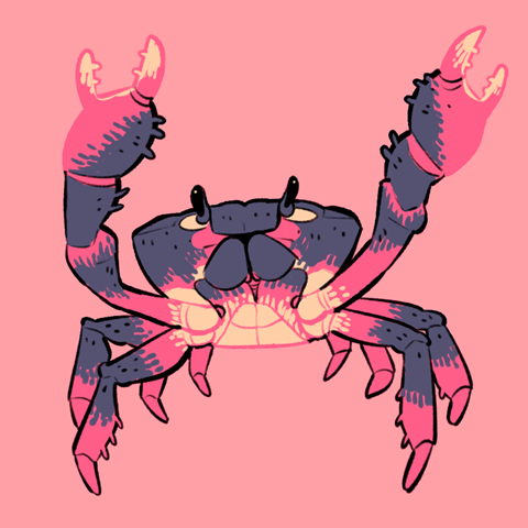 crab ! 