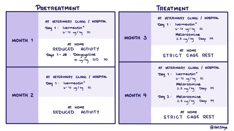 Heartworm Treatment Summary