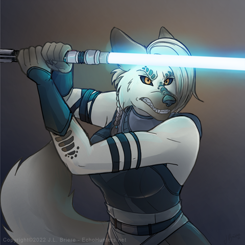 Jedi Battle 