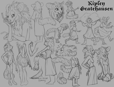 Ripley Sketchpage