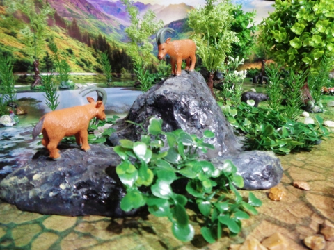 A 'World of Nature' Toy Set for Ukrainian Children