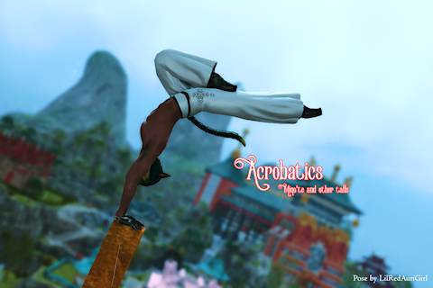 Acrobatics Pose