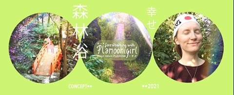 Shinrinyoku 森林浴 Inspiration