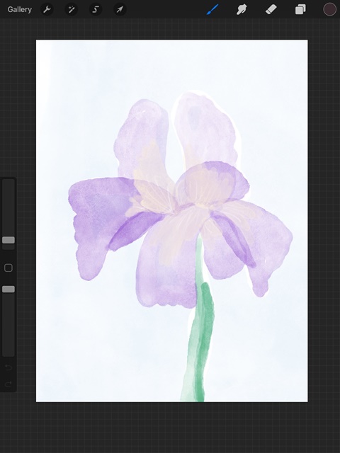 Watercolor Iris