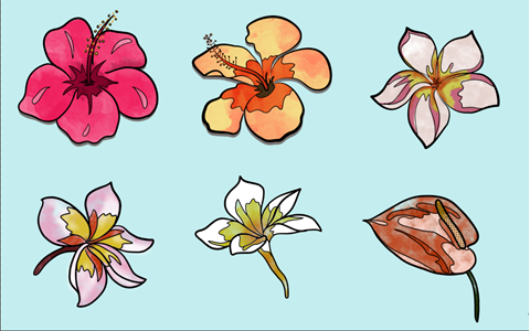 Tropical Flowers Digital Illustrations