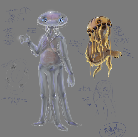 [2024] Anthro Jellyfish Study