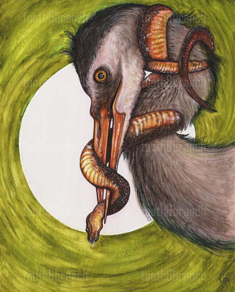 Watercolour Heron and Snake