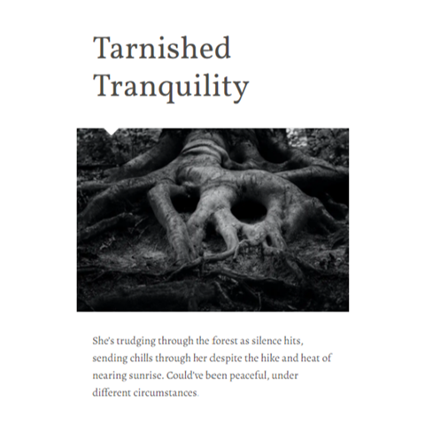 Tarnished Tranquility