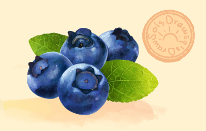 blueberries!!