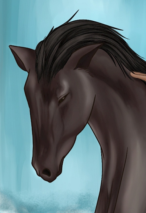 Cropped Horse lol