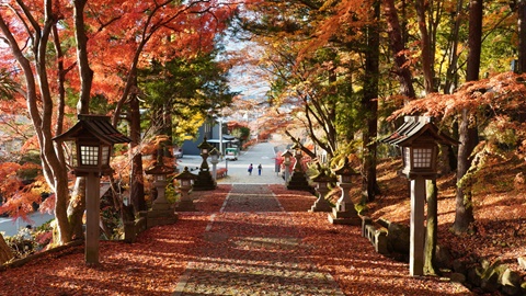 Autumn at Hie Shrine, Takayama