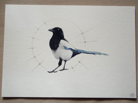 Magpie