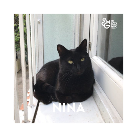 NINA