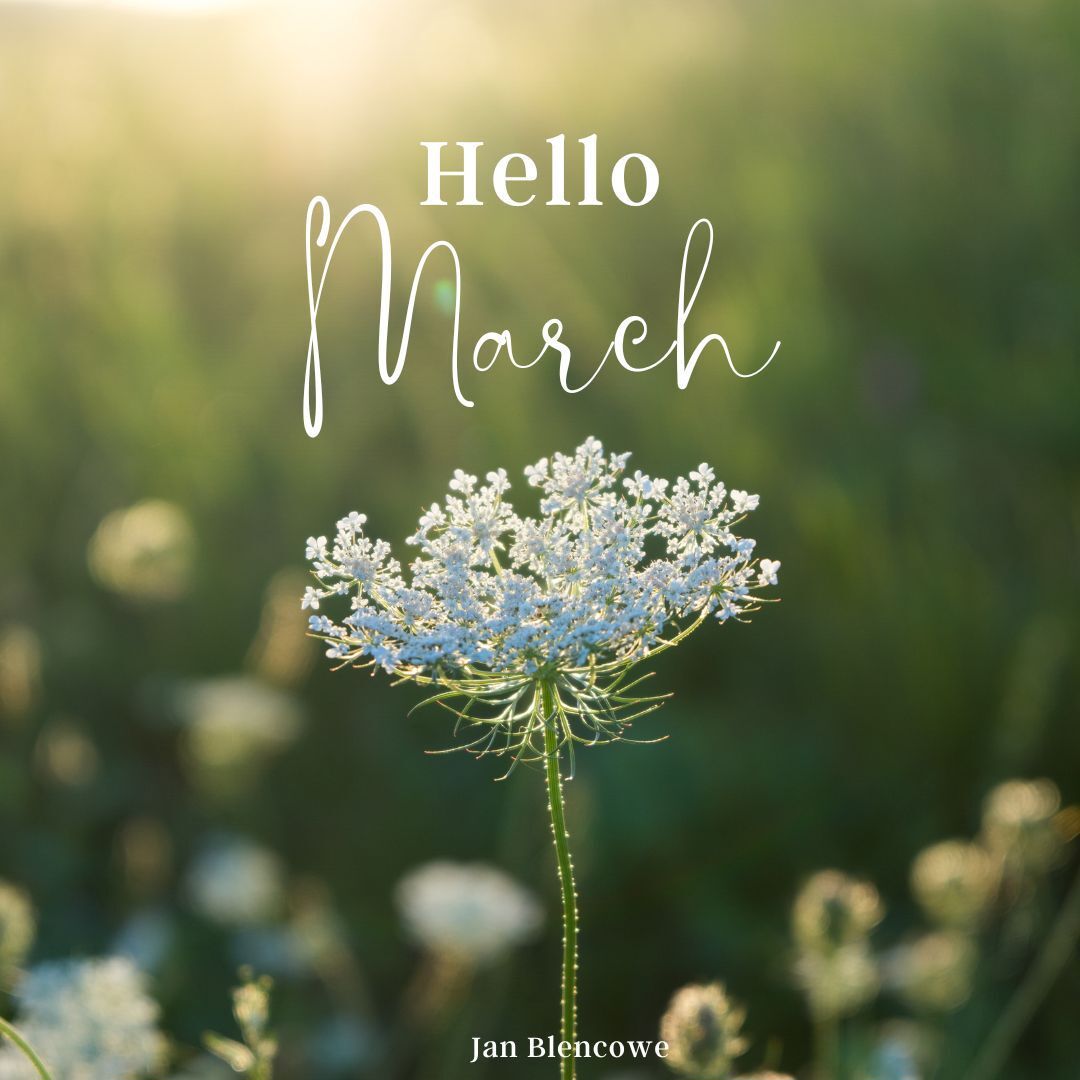 New Month Welcome