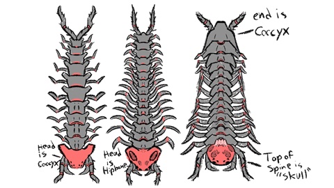 Centipede concepting