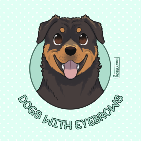 Dogs with eyebrows - rottweiler