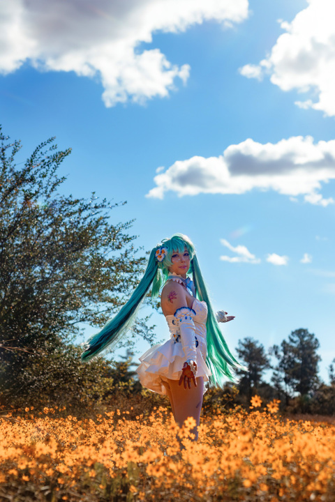 Hatsune Miku Canary popular Cosplay