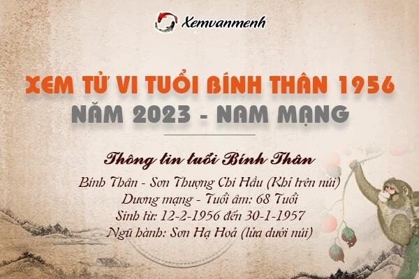 Tử Vi Tuổi Bính Thân 1956 Nữ Mạng Năm 2023: Bí Quyết Đón Nhận May Mắn & Hạnh Phúc