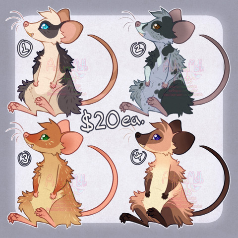 Mouse adopts!