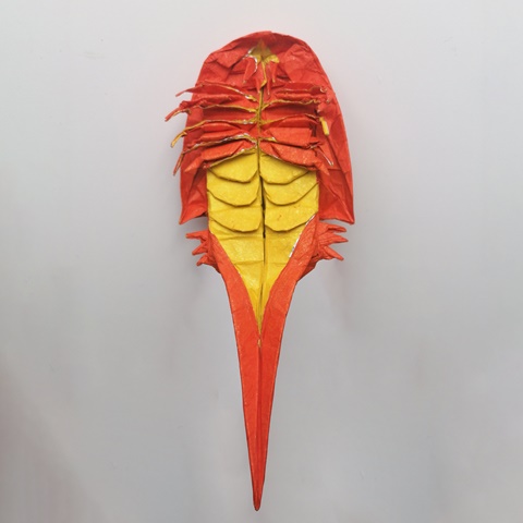 Origami Horseshoe Crab