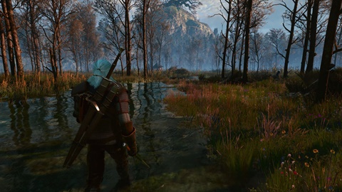 Witcher3 NG Beyond all Limits Reshade preset