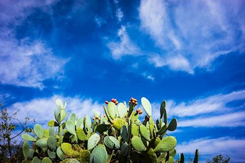 Puglia Sky