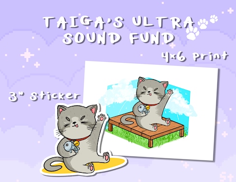 Taiga's Ultra Sound Fundraiser