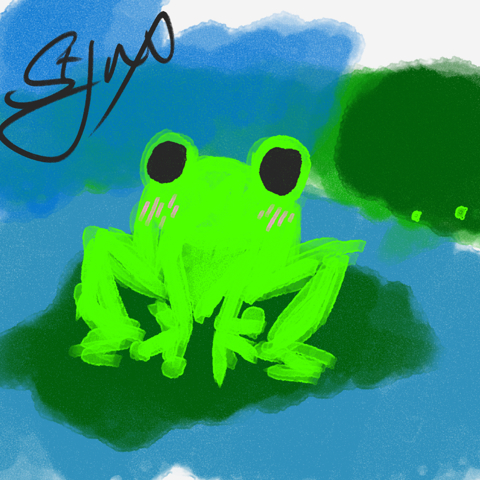 Frog drawing