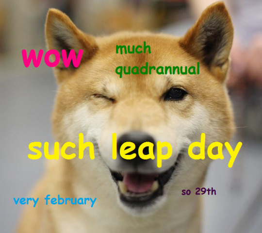 wow such leap day doge