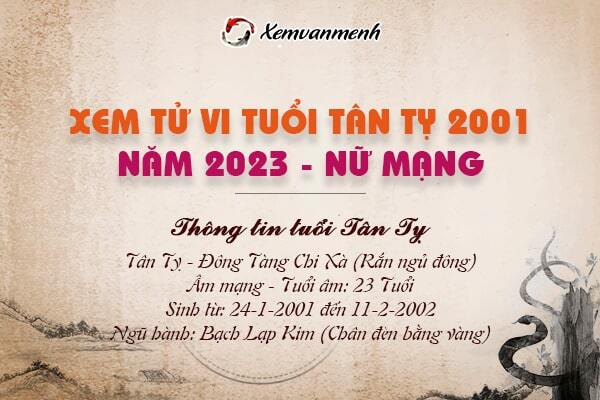 Tổng quan tử vi nữ mạng Tân Tỵ 2023