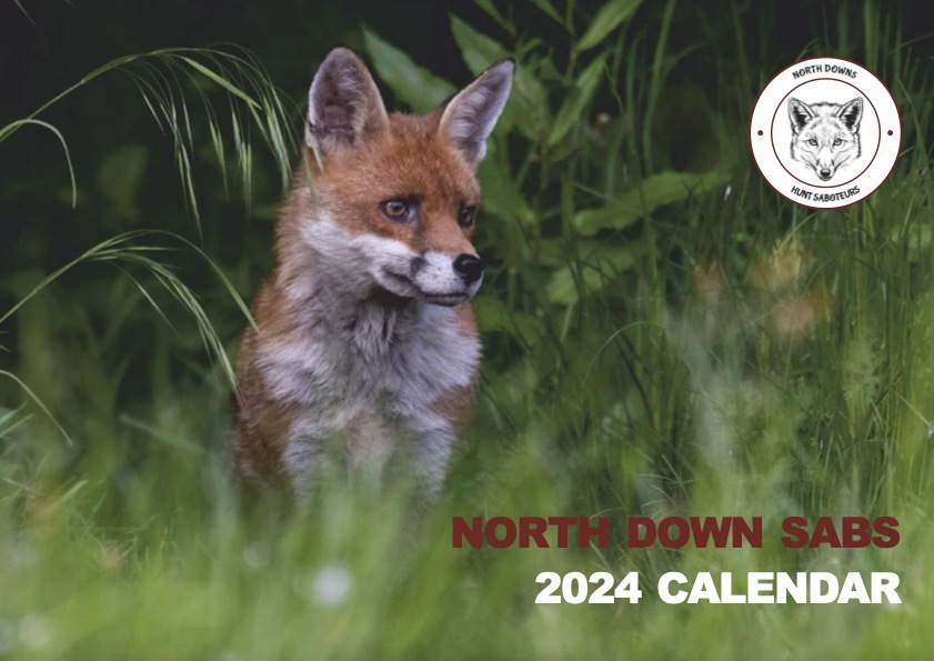 Support North Downs Hunt Sabs on Kofi! ️.