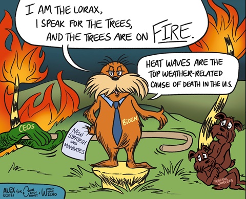 I Speak For the Trees, and the Trees Are On Fire