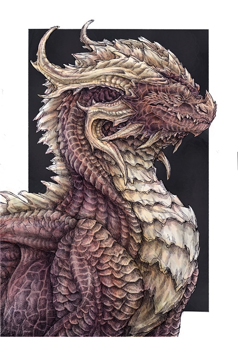 Dragon Drawing but with color!