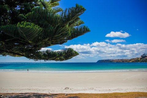 Blissful Serenity: Unwind at Tasmania's Premier Sp