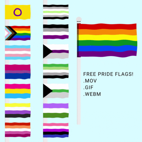 Pride flags - negativoZero's Ko-fi Shop - Ko-fi ️ Where creators get ...