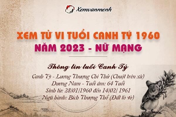 Tử Vi Tuổi Canh Tý Năm 2023 Nữ Mạng: Hướng Dẫn Chi Tiết Và Đầy Đủ Nhất