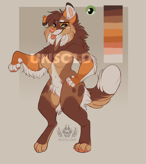 Collie adopt - flat rate