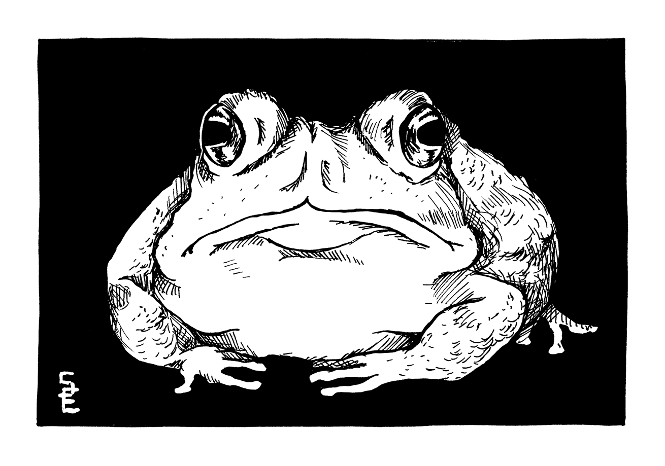 Inktober 2023 - #08: Toad