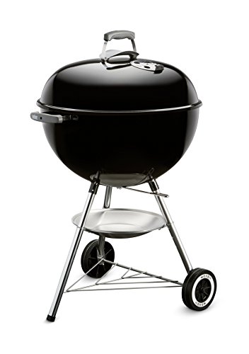 The 15 Best Weber Gas And Charcoal Grill Combo