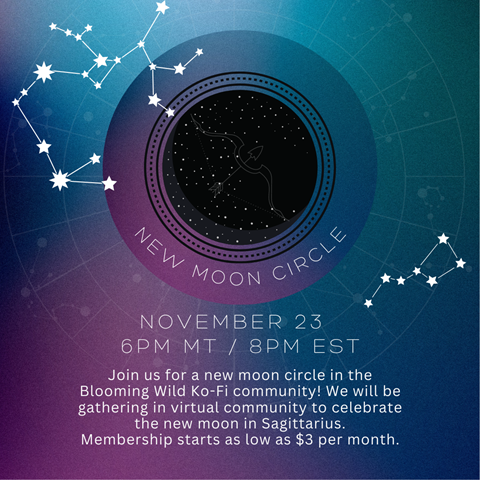 New Moon Circle: November 23, 6pm MTN 