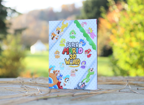 Super Mario 3D World + Bowser's Fury Booklet (1/2)