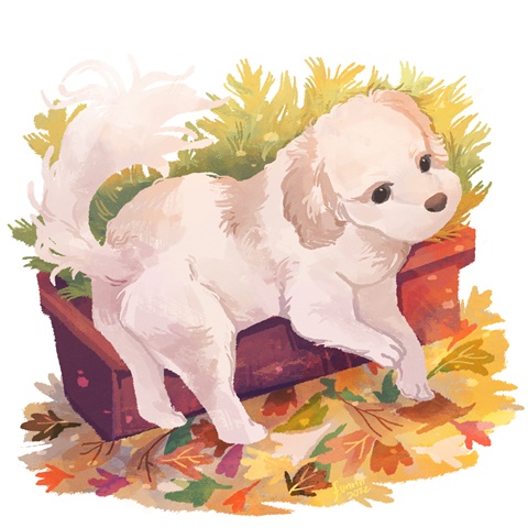 Commission for Kie